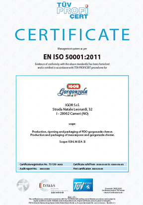 certificazione ISO 50001:2011