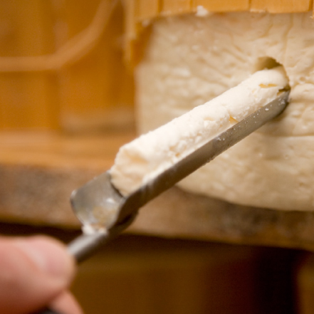 operazione di carotatura su una forma di gorgonzola