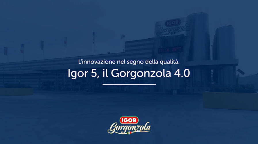 la produzione del gorgonzola igor