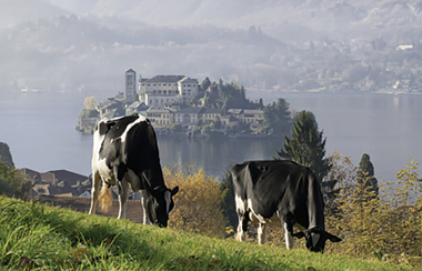 L'impegno di IGOR per l'ambiente