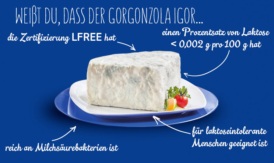 KENNEN SIE DIE NÄHRWERTE VOM GORGONZOLA?