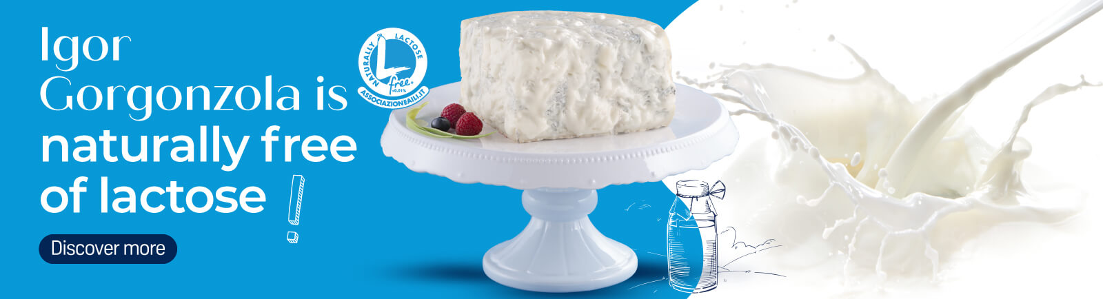 Gorgonzola Igor lactose free