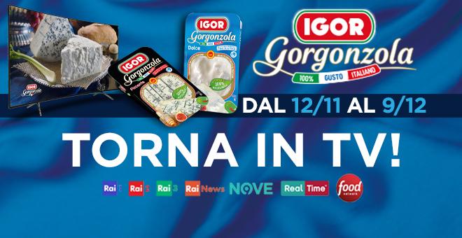 spot IGOR