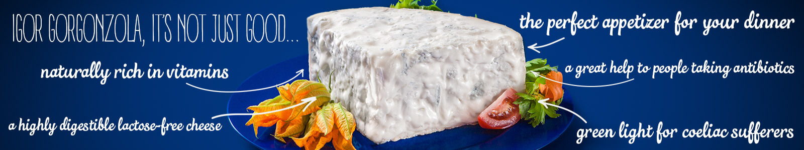 gorgonzola cheese calories and gorgonzola cheese nutrition