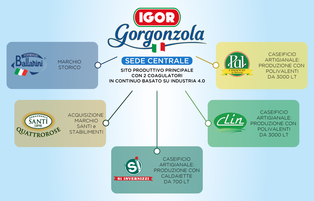 IGOR Gorgonzola Novara - Il Gruppo