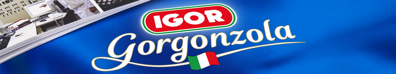 Company Profile IGOR Gorgonzola