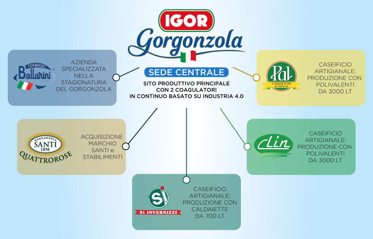 IGOR Gorgonzola Novara - Il Gruppo