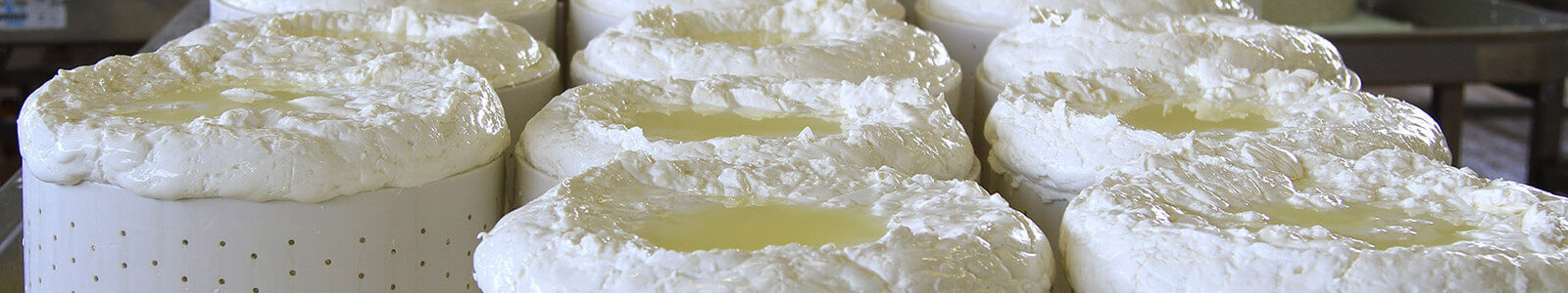 IGOR Gorgonzola Novara - Il Gruppo