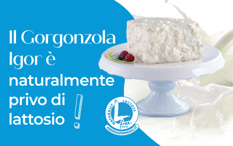 Gorgonzola IGOR naturalmente privo di lattosio