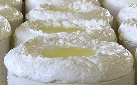 IGOR Gorgonzola Novara - Gorgonzola dolce