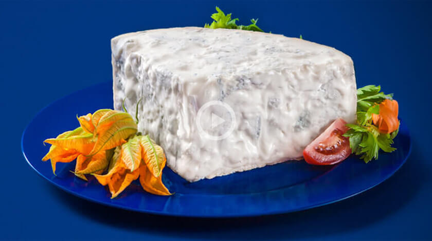 Il Gorgonzola DOP