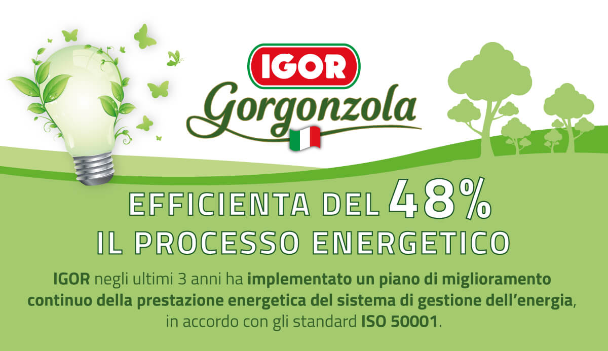 igor-gorgonzola-miglioramento-energetico-01