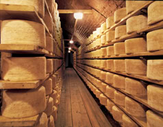 cella_stagionaturaBallarini