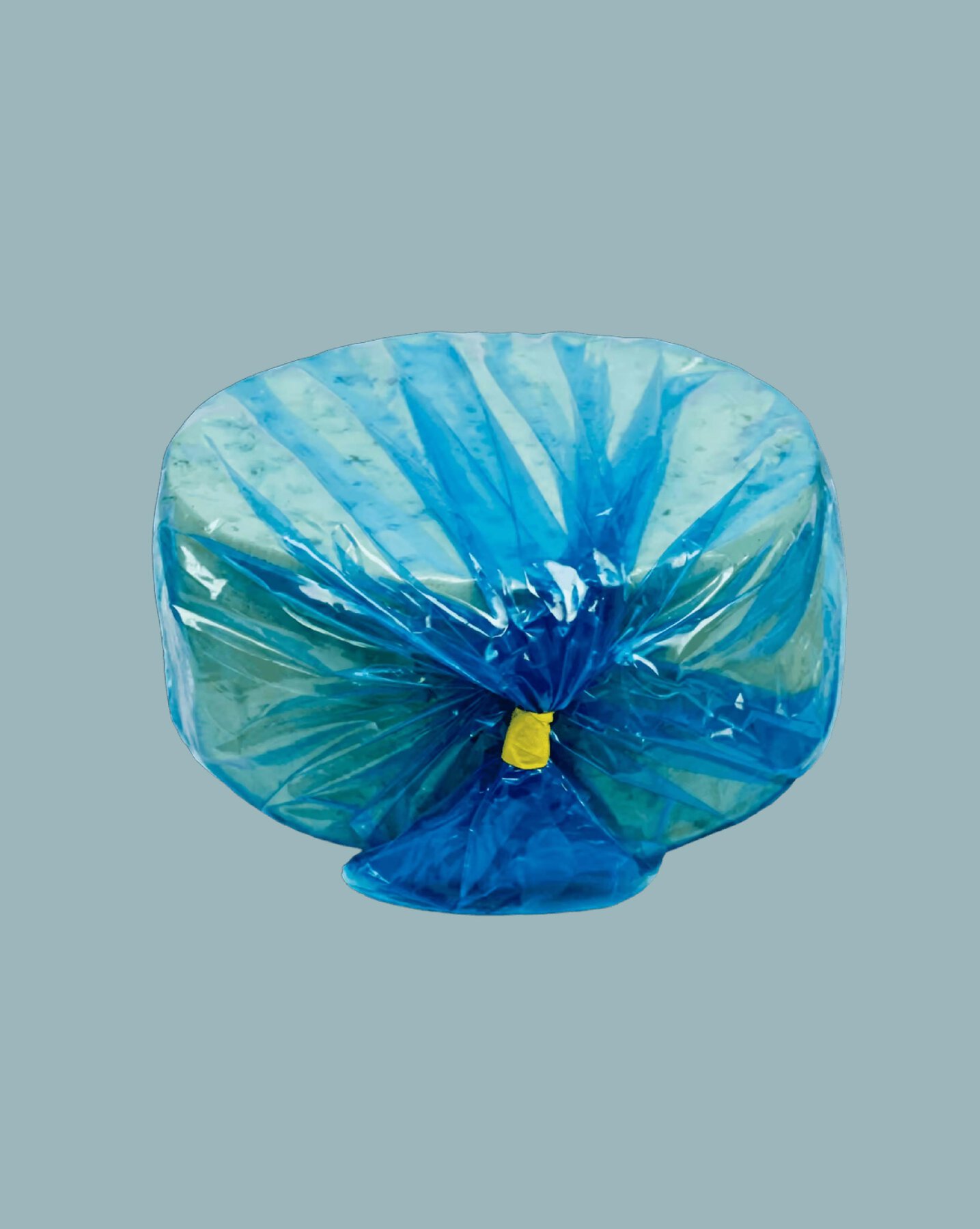copertine si inv-09